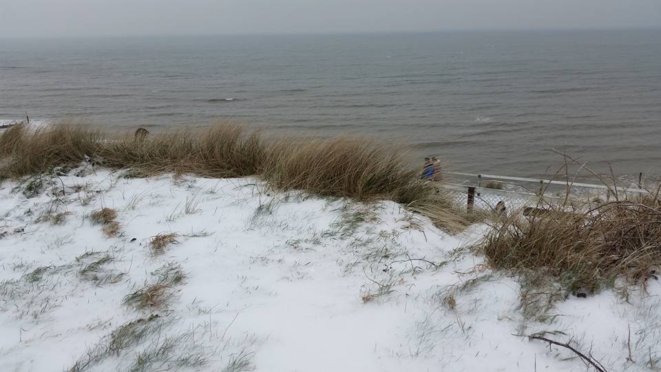 28661139_2000352686661178_2596769589571494038_n