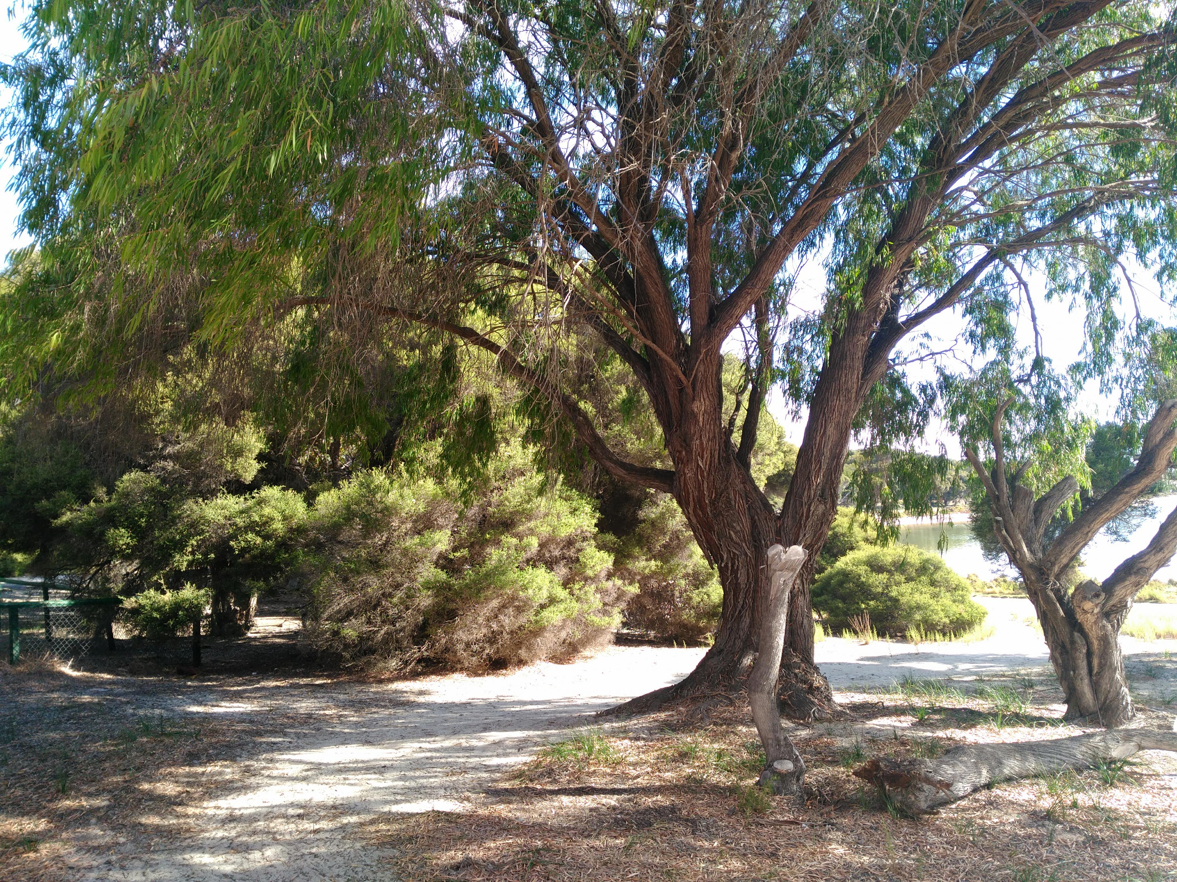 30550812_10212842448149644_161802627_o