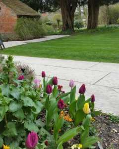 30716485_2055172457845867_551388799108644864_o