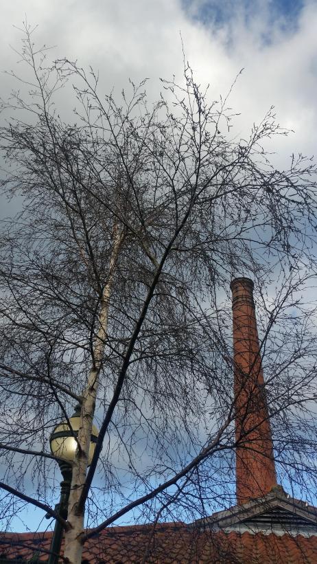 31732063_2072326106130502_4074182350370504704_n