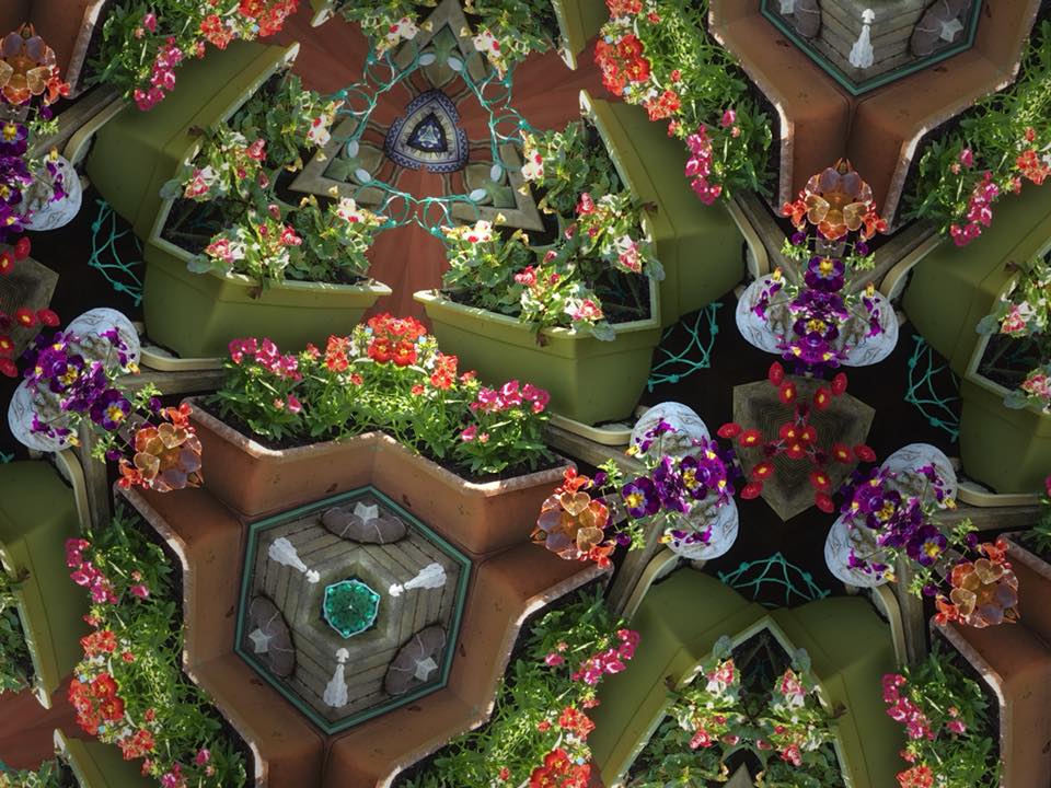 32511955_2089670834396029_5826809820690251776_n