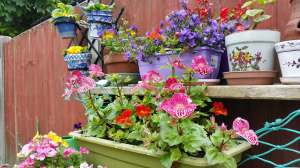 33237689_2100284010001378_563722119821656064_n