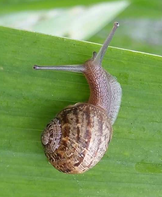 33500818_2101460066550439_5825106909107060736_o