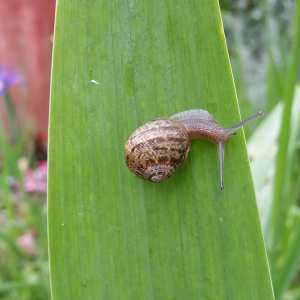 33500818_2101460066550439_5825106909107060736_o