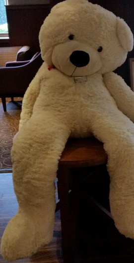 30715864_2052914858071627_1881960102517276672_n