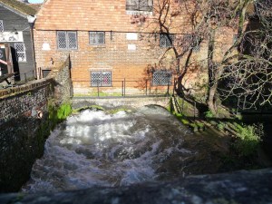 Copy (2) of P1050070