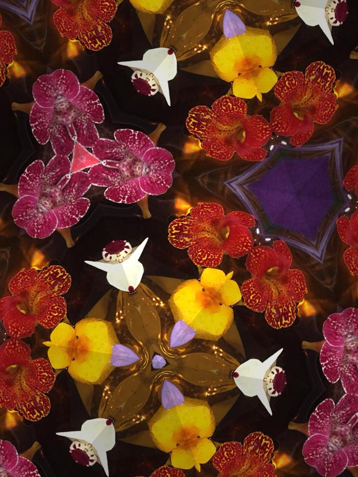 35749717_2133314443365001_3886824946227216384_n