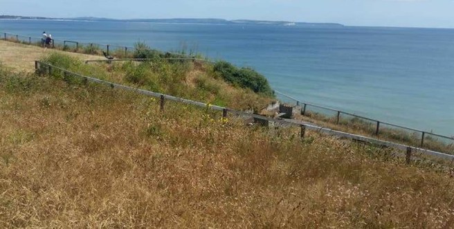 35886313_2139447919418320_9163025049106513920_n(1)