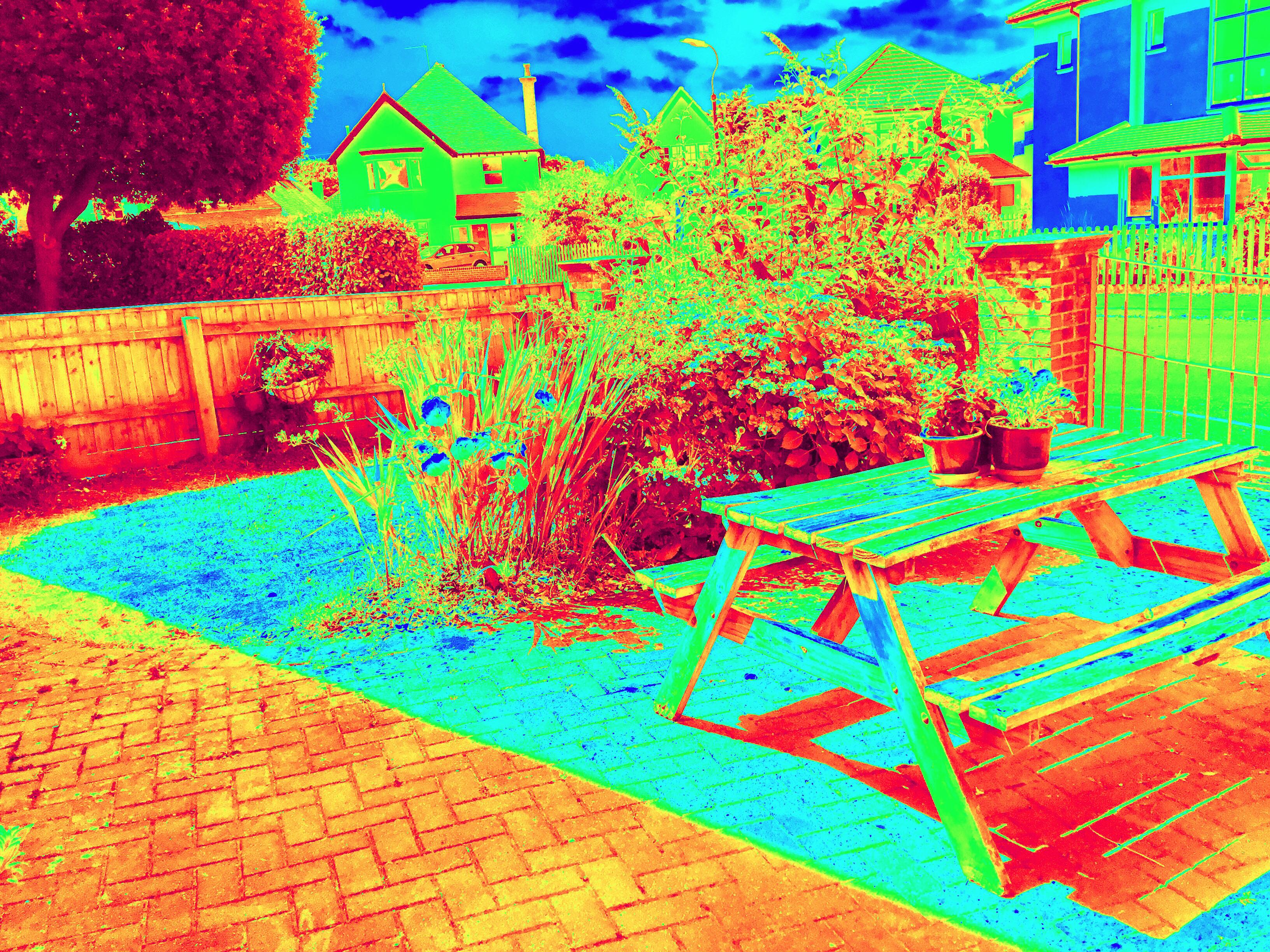 36940738_2172002706162841_6989539359858884608_n