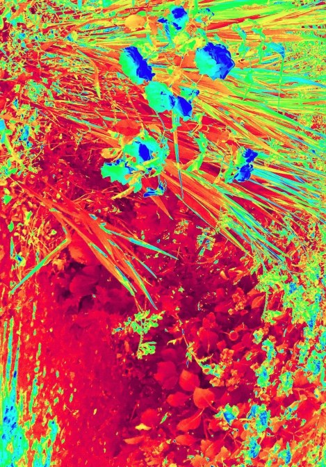 36963934_2172002646162847_1359408250704887808_n