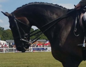 37731933_2198003693562742_2018051222237347840_n