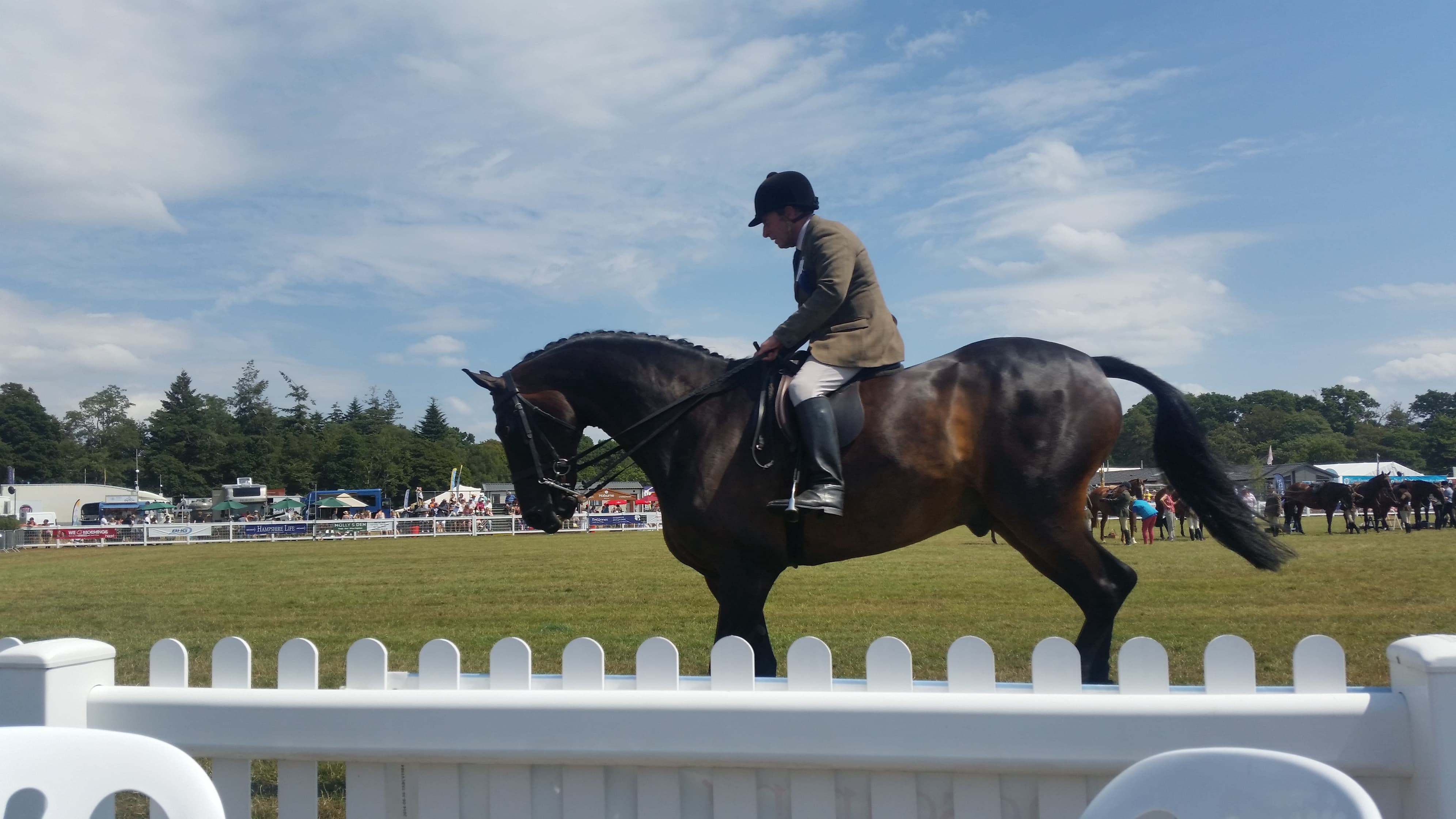 37731933_2198003693562742_2018051222237347840_n