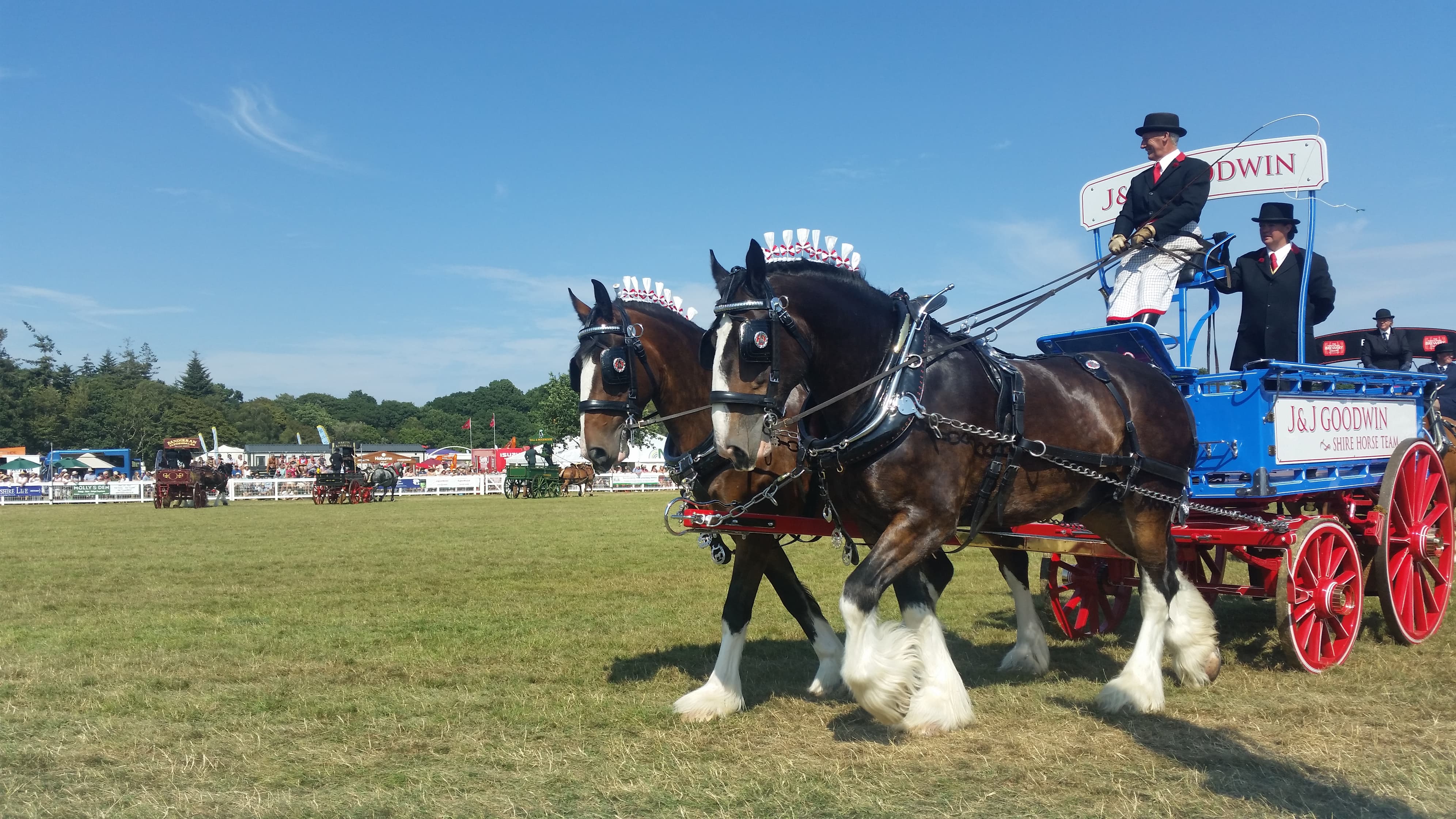 37737560_2198001803562931_4851586914303606784_n