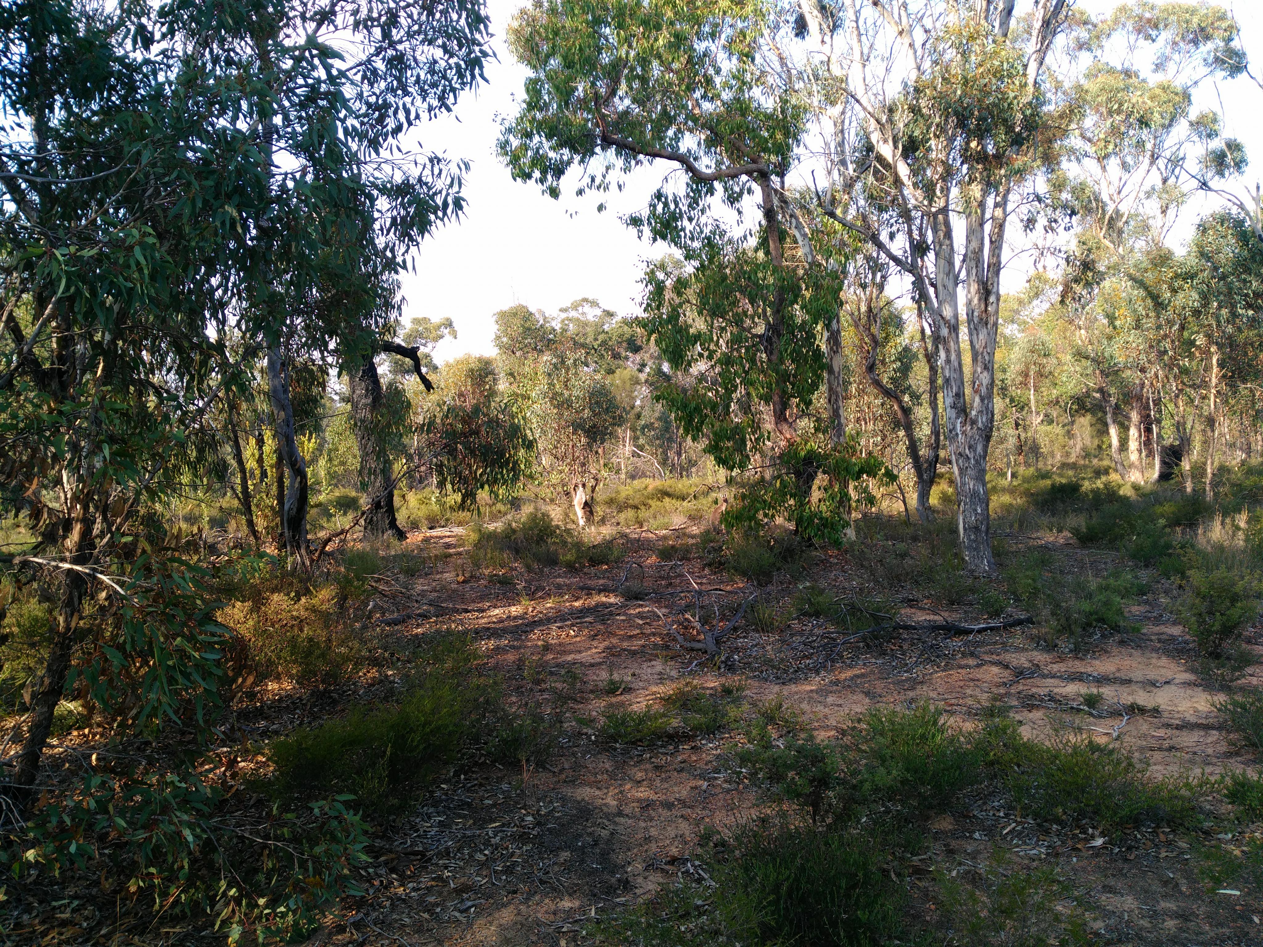 32446751_10213022320966352_3869735468924928000_n