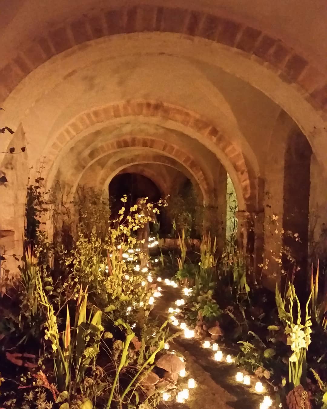 41290243_2273528329343611_2462619236892147712_o