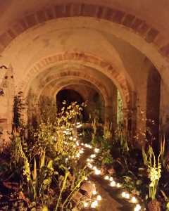 41290243_2273528329343611_2462619236892147712_o