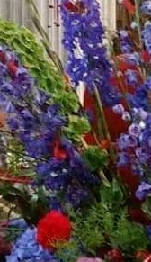 41341811_2273310256032085_1206749487914024960_o