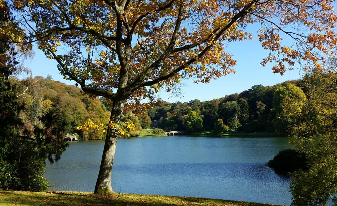 43456460_2318979864798457_8720894557241212928_o