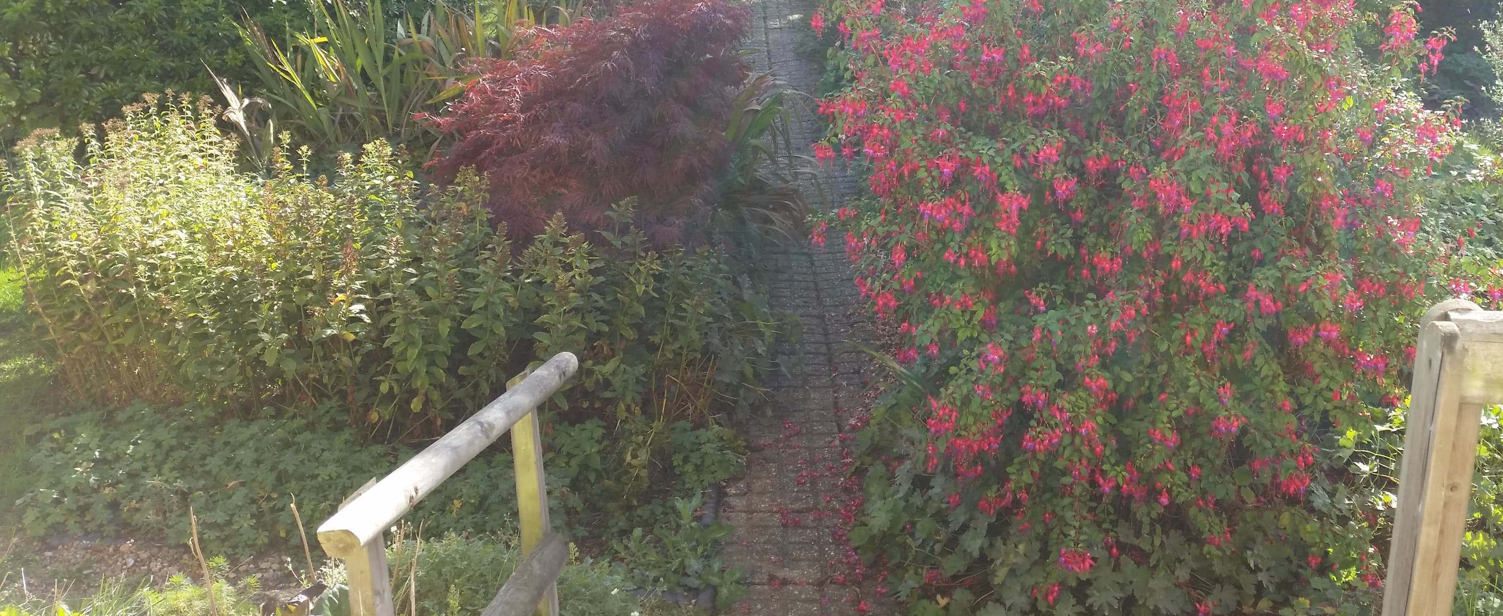 45477078_2012446678822505_8757027339713380352_n