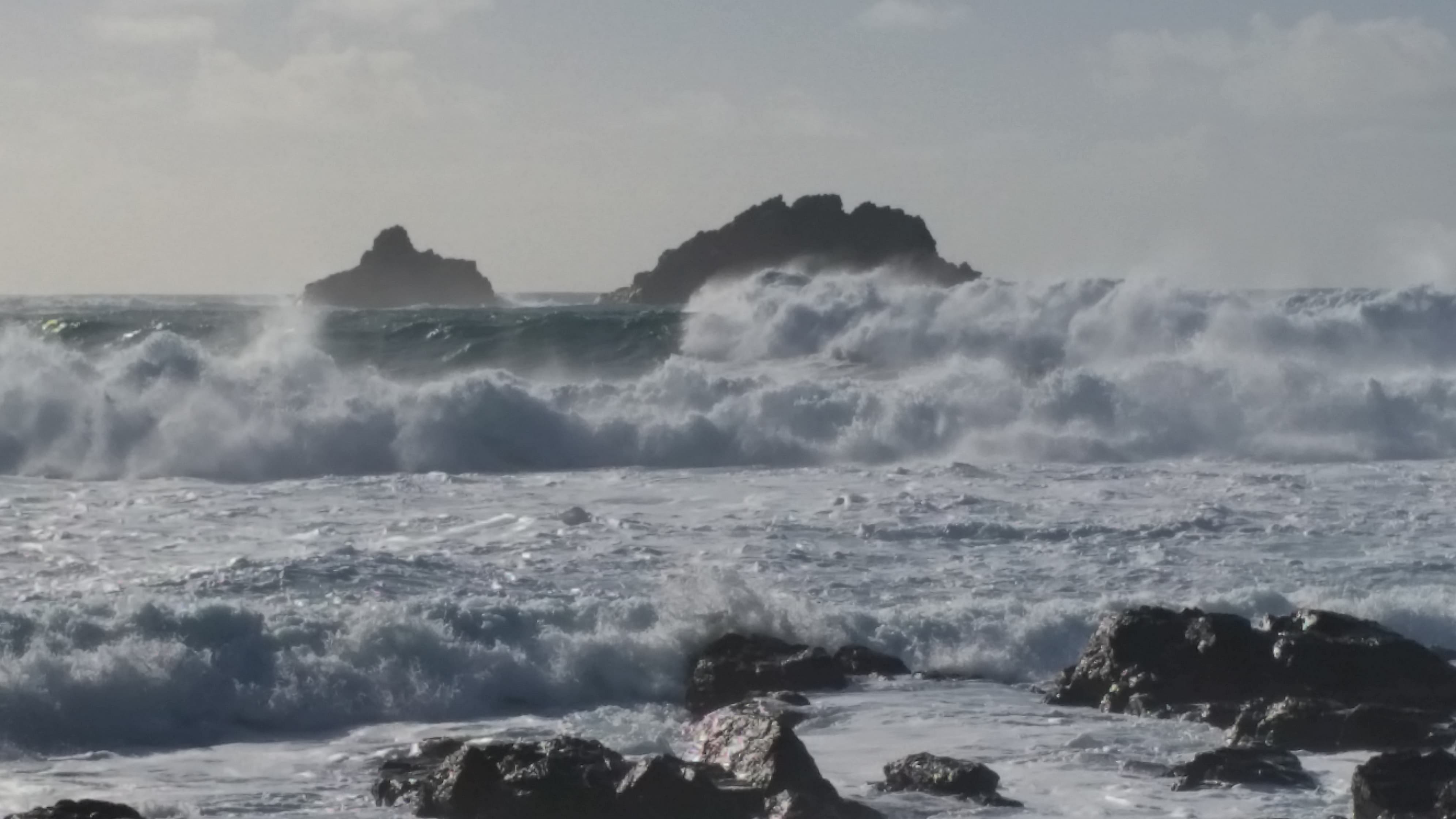 52594289_565477817270698_3462404507193835520_n