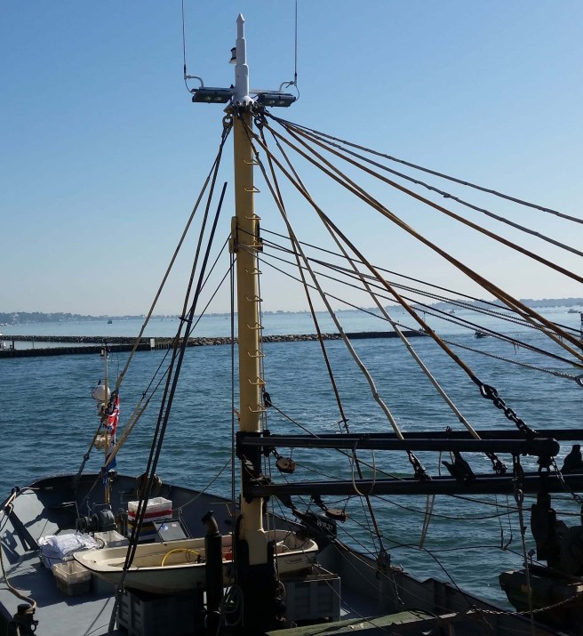 42672446_272355410058367_2395398948555587584_n