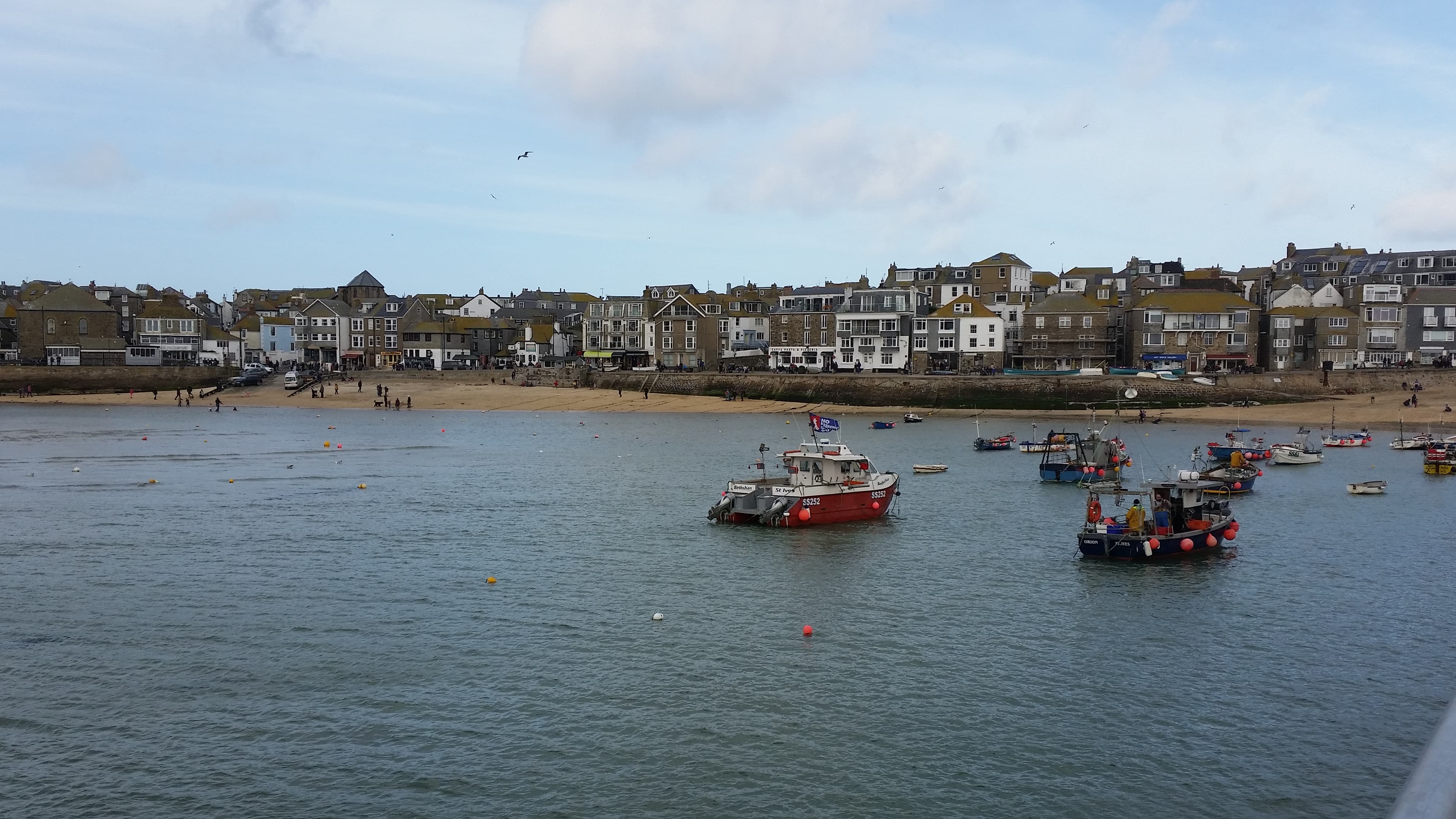 53742536_2655878967787167_6385412300840370176_n