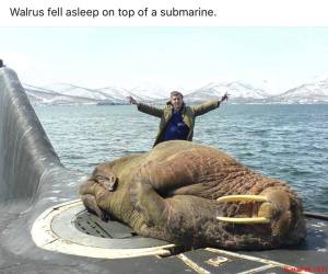 56737202_2289431204628239_2682075143546601472_n