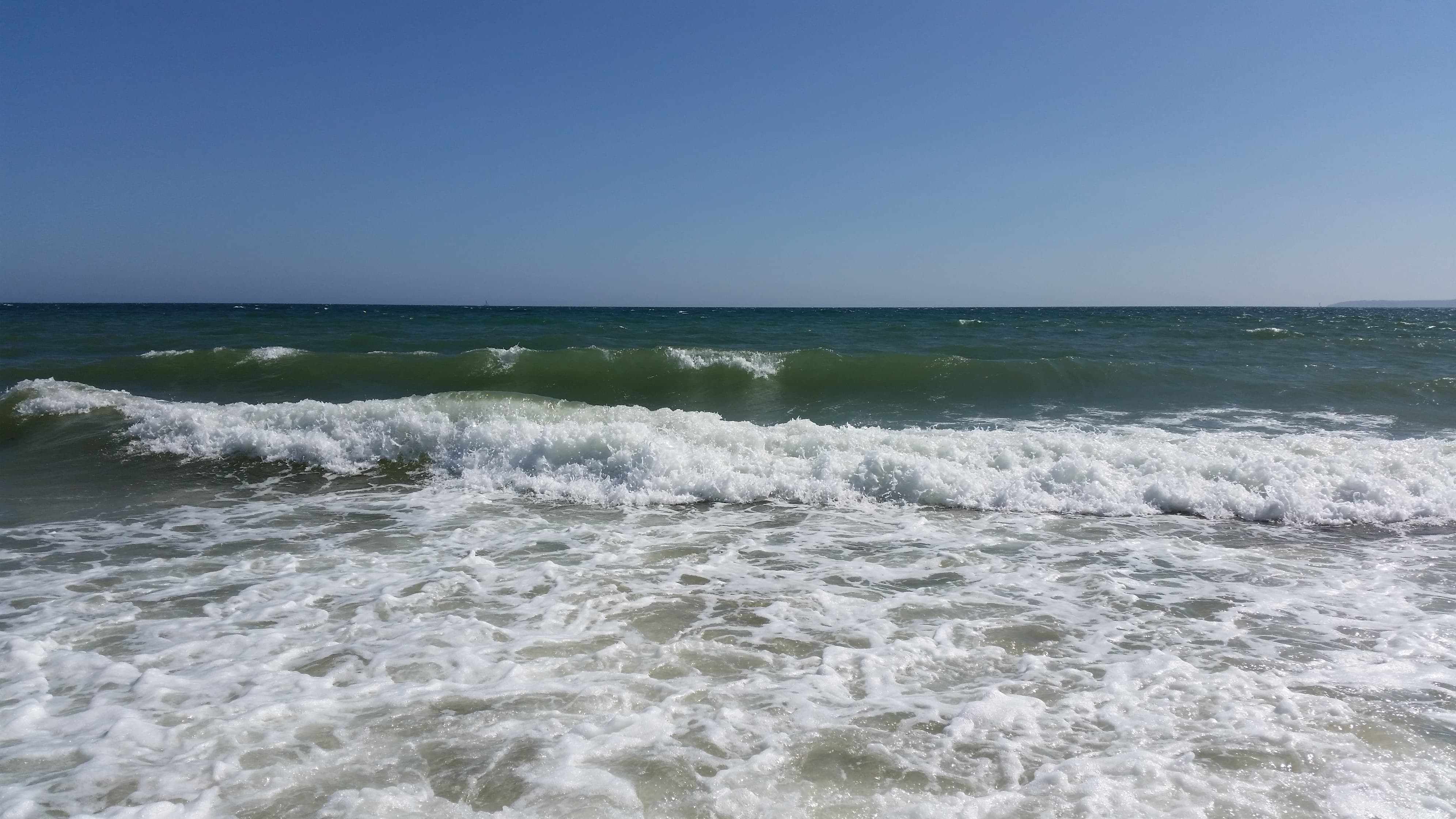 62454867_343942479619096_406051946240147456_n