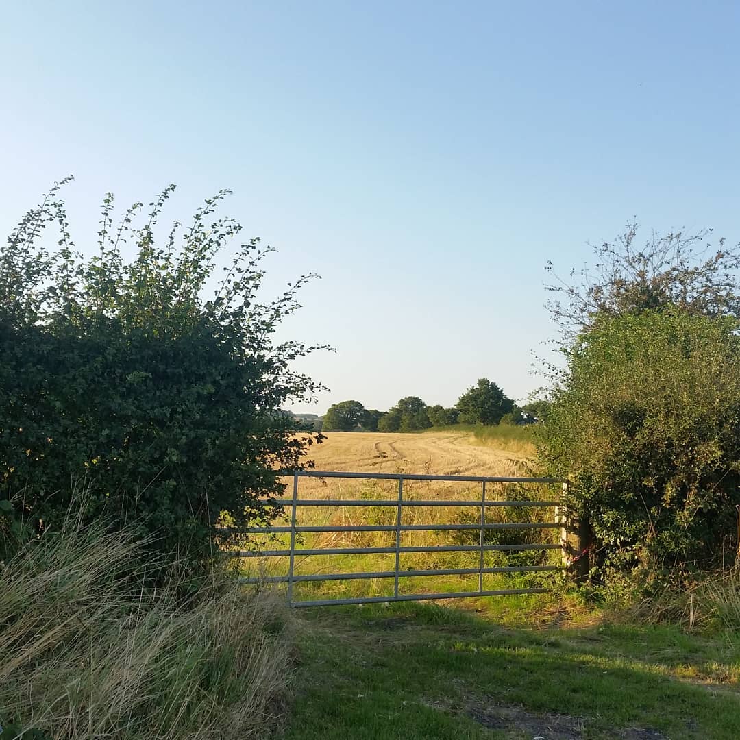 69174833_2861246683905103_4026481636127277056_o