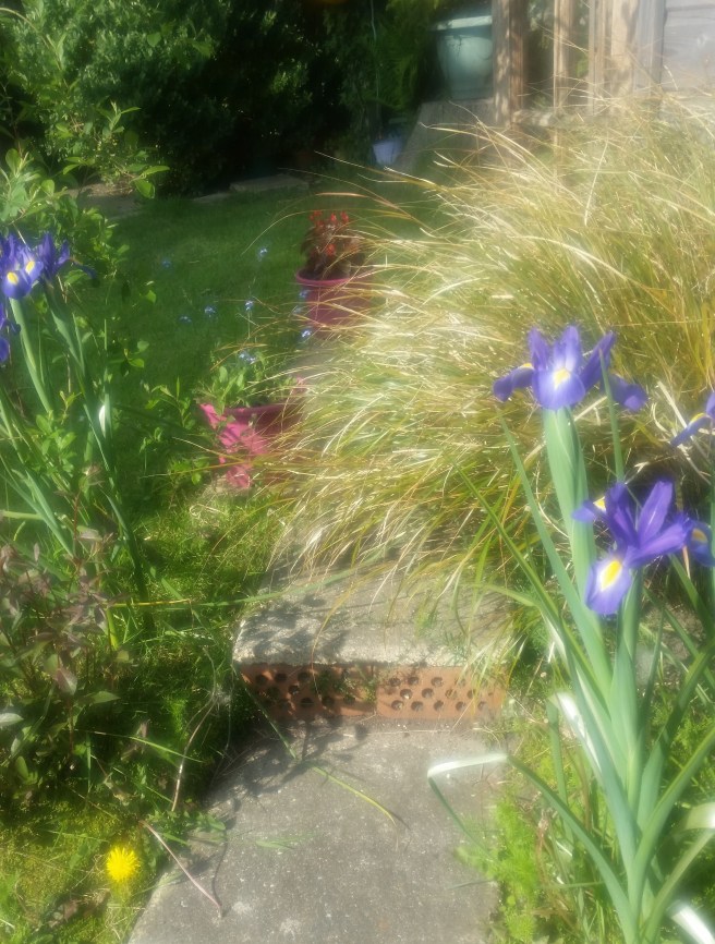 96276355_558921511482769_592639146783145984_n